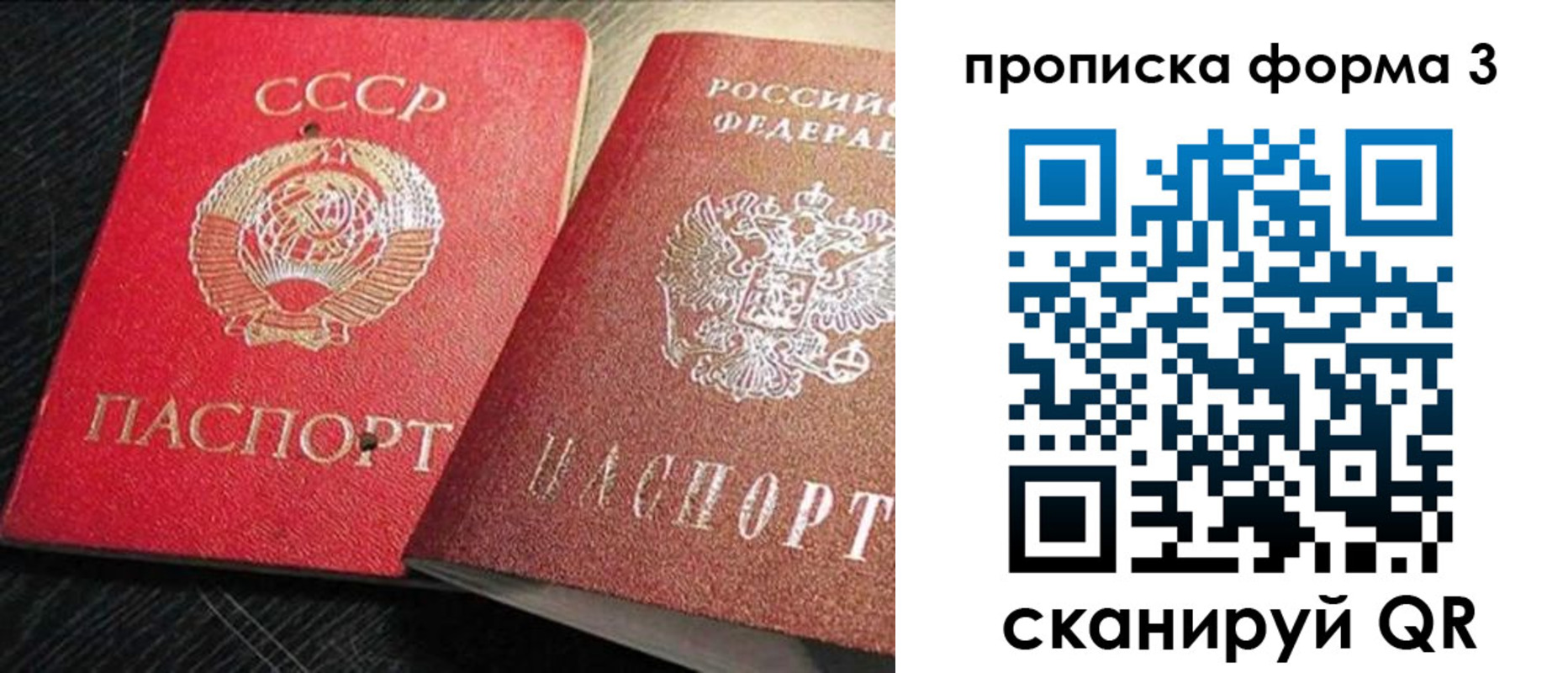 временная регистрация поиск в Новозыбкове